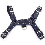 Rouge O.T.H Front Harness